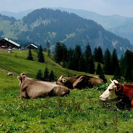 Dorfgasthof Adler Guest house 3*