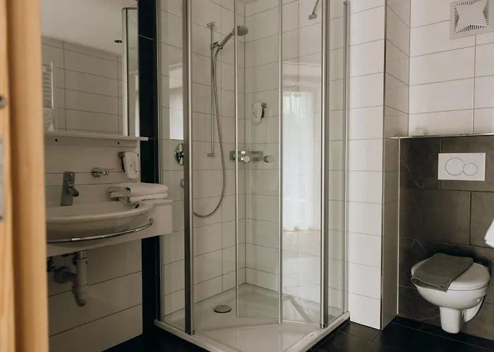 Guest house Dorfgasthof Adler 3*