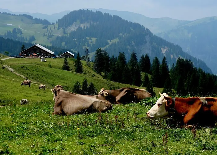 Dorfgasthof Adler Gasthuis 3*